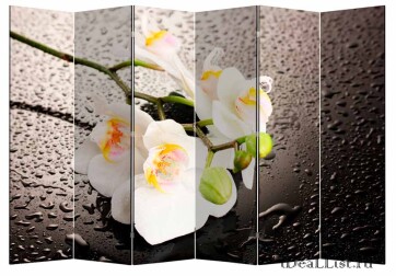 Ширма "Белая орхидея и капли" 6