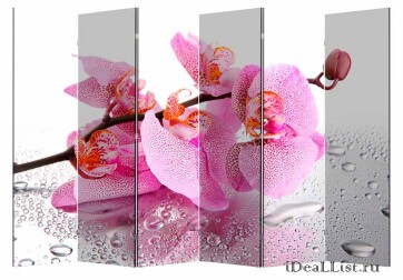 Ширма "Розовая Орхидея" 6