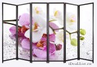 Ширма "Ветвь орхидеи"